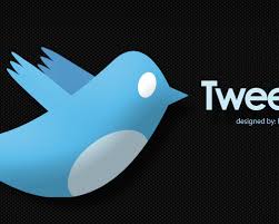 When Calculating Twitter'S Roi, Don'T Forget Its Change On Organizations - Twitter Bird Wallpaper 1