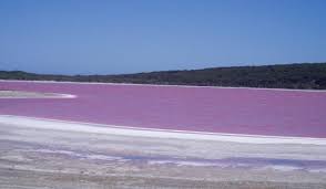 البحيرة الوردية Images?q=tbn:ANd9GcRzxAKe6q17hyiH_5rawCQ1BAv53XM67xKqbXN2ZZcrk4wCOCoy