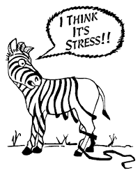 Stress!